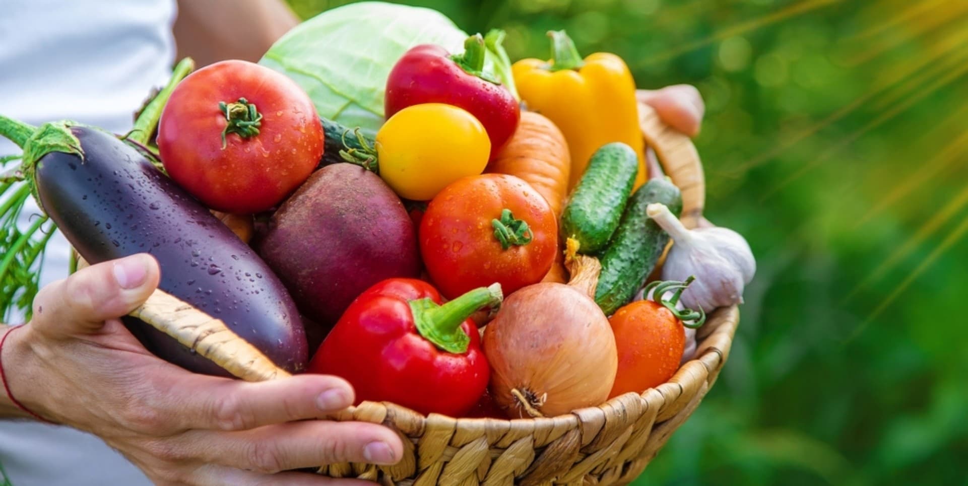 Kurumsal Çözüm Ortağınız